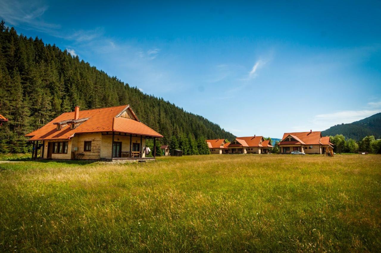Pensiunea Sapte Flori Ґеорґень Екстер'єр фото