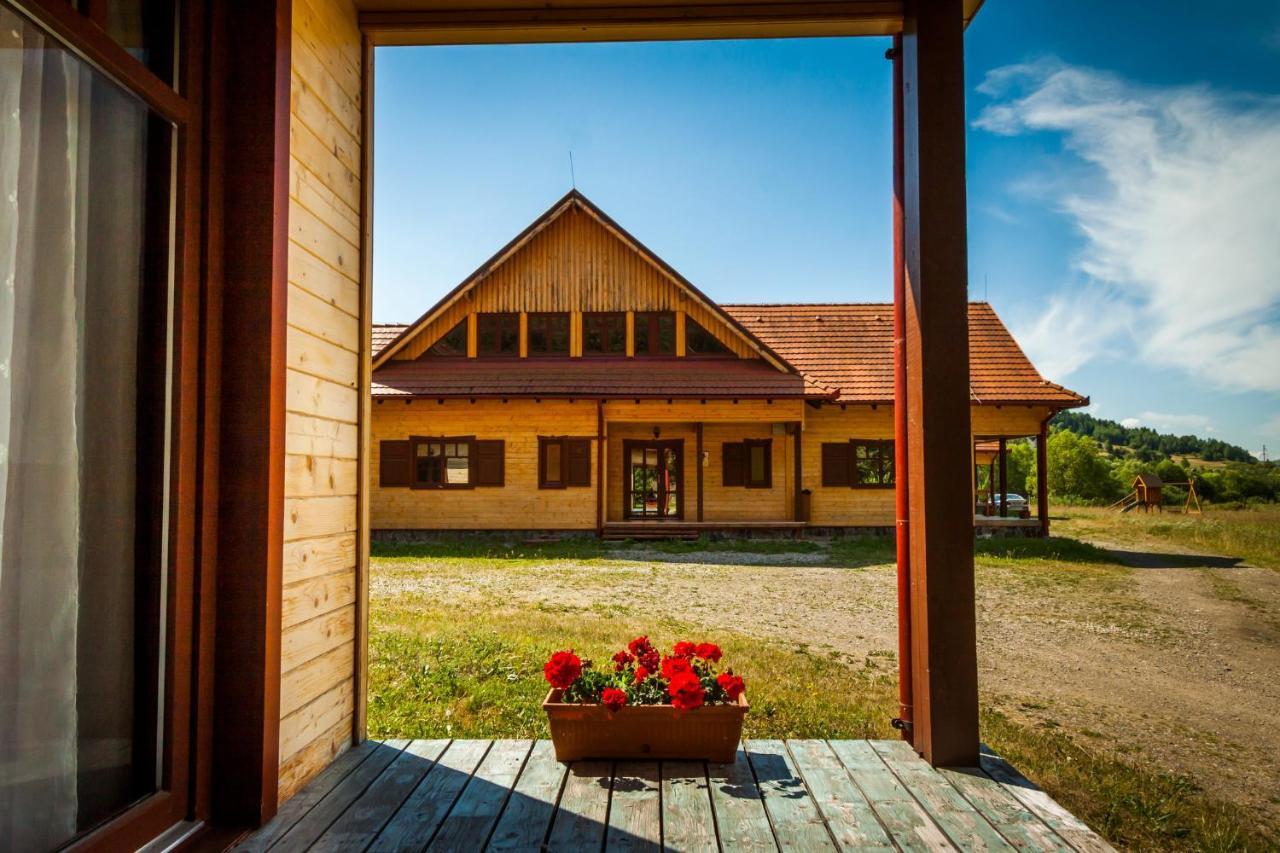 Pensiunea Sapte Flori Ґеорґень Екстер'єр фото